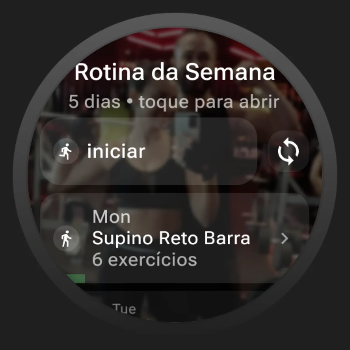 Pulse Fit weekly routine on Wear OS