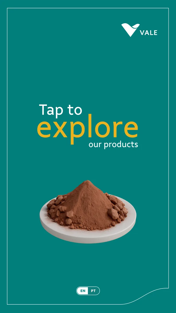 Vale Minerals bilingual opening screen